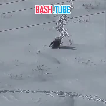  Самый целеустремлённый доставщик еды замечен в Рязани