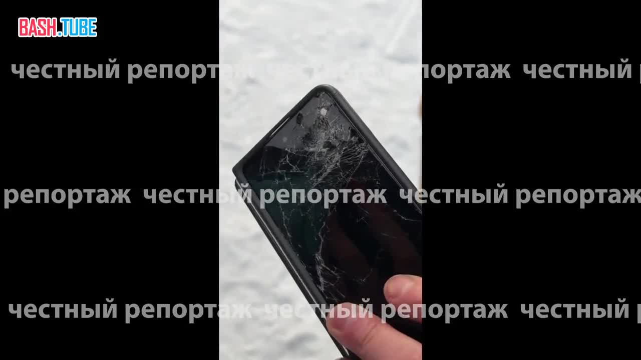  Укушенные раны и ссадины: что спасло сноубордиста в Башкирии от нападения медведя
