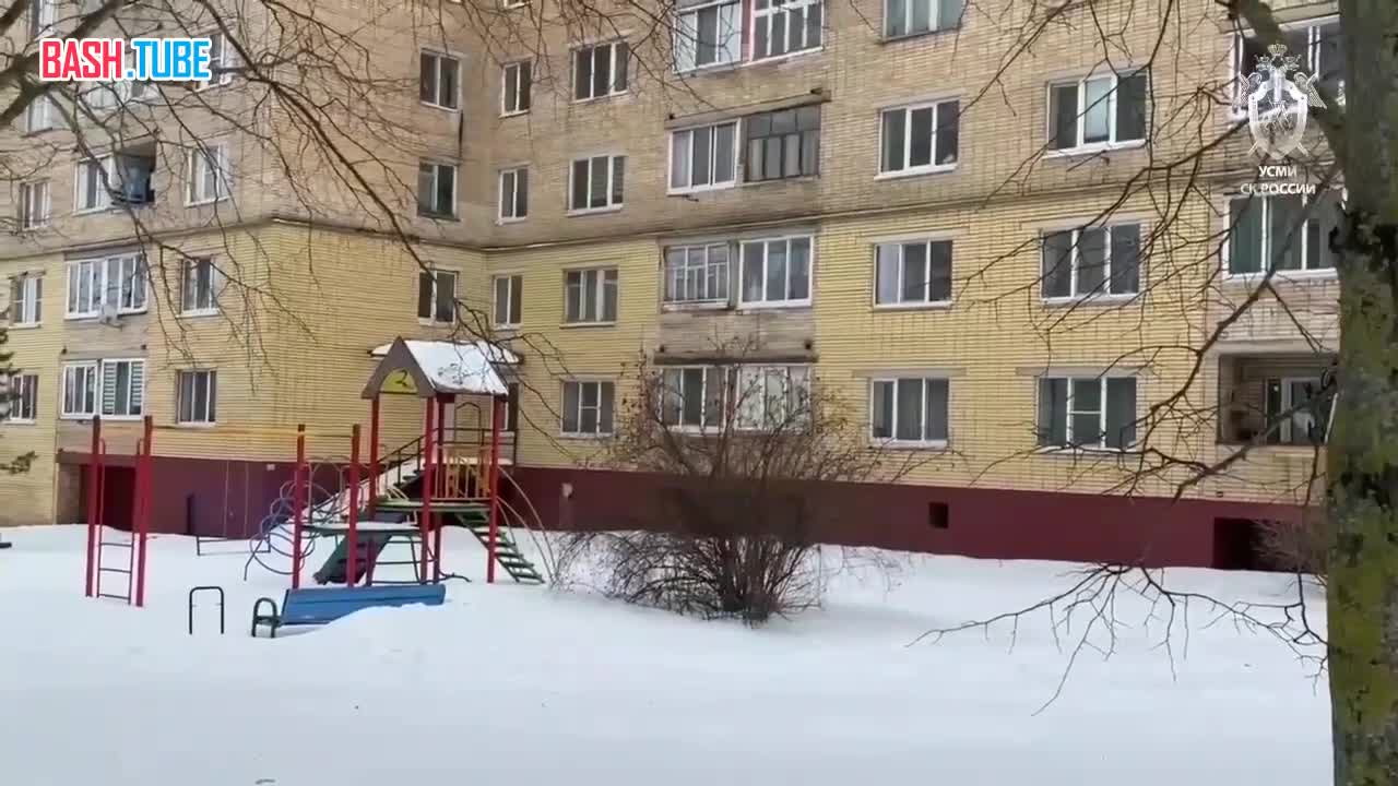  В Смоленске сотрудниками СК принято решение о расширении территории поиска пропавшей накануне девочки