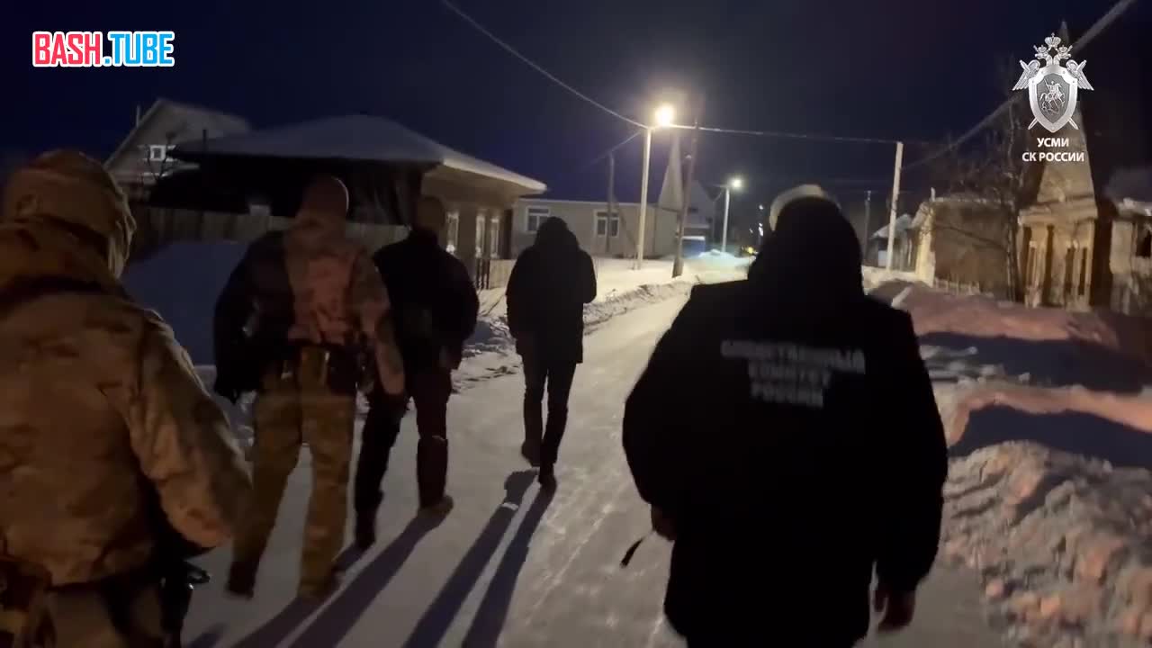  Налетчики, разгромившие глэмпинг и избившие охранника в Курганской области, заключены под стражу