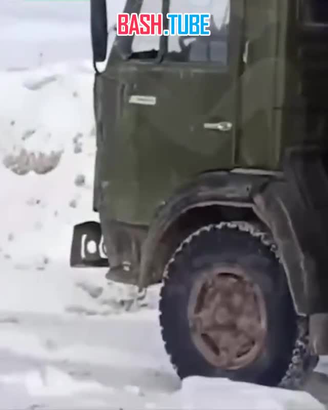  Водитель бил кота в кабине грузовика на территории сахарного завода в Татарстане
