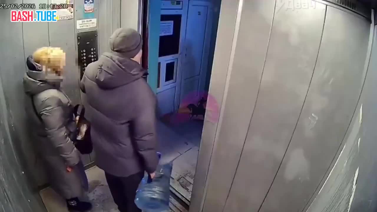  Мужчину едва не раздавило лифтом в Уфе: кабина поехала, когда он практически зашёл внутрь