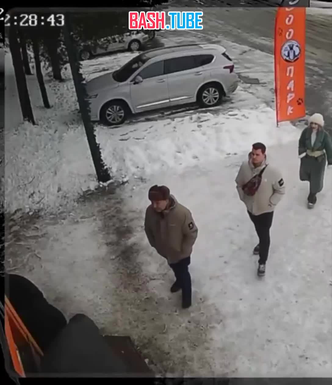  В Санкт-Петербурге посетители зоопарка отравили медведя сгущёнкой