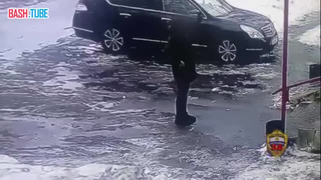  В Москве женщина украла собаку породы акита ину. Она хотела ее перепродать