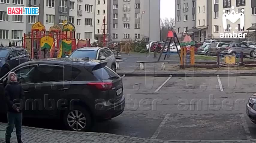  В Калининграде парень хотел скинуть на девочку цветочный горшок, но попал по машине