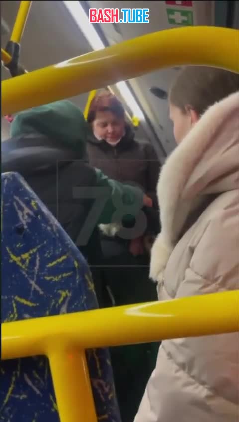  В Санкт-Петербурге в автобусе женщина бросалась на людей и пробила голову курьеру