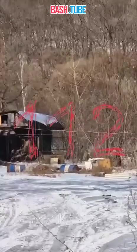  Леопард залез на чердак в селе под Владивостоком