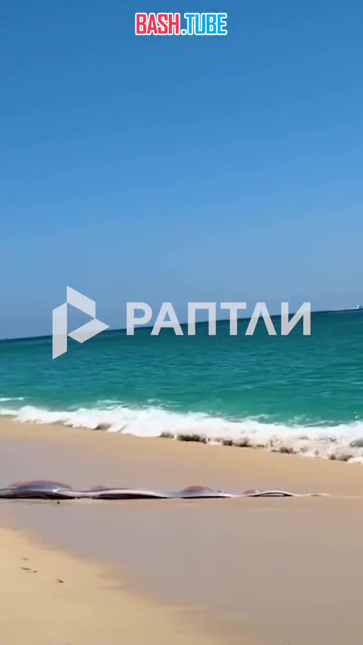  Судный день в квадрате