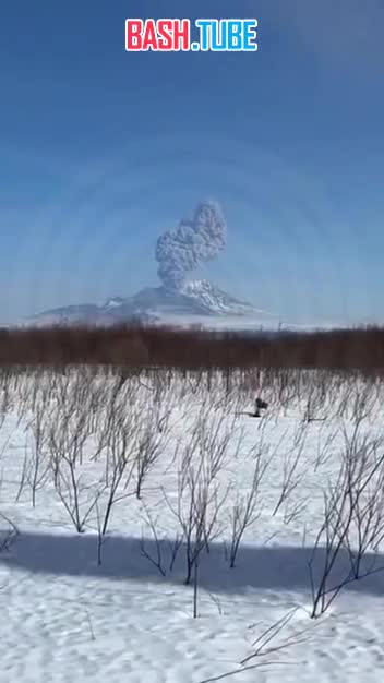  Прямо сейчас извергается вулкан Шивелуч