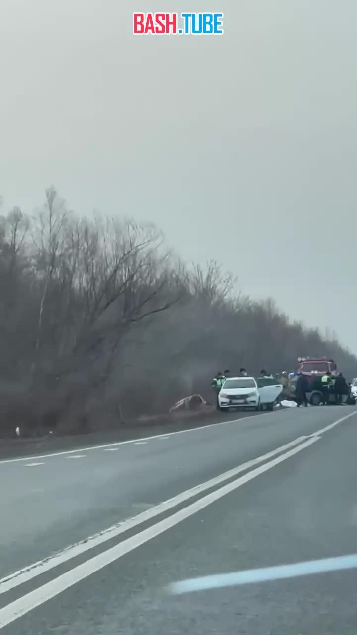  В Приморье на трассе под Фокино произошло жуткое смертельное ДТП - погибший лежит на дороге