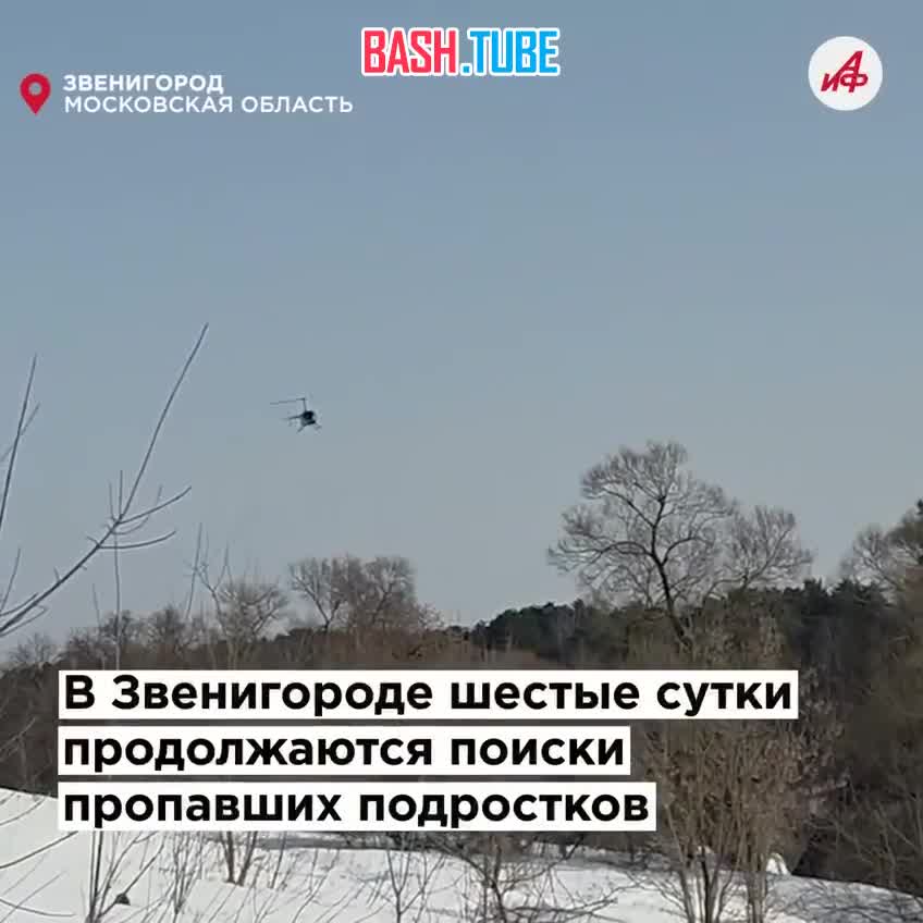  «Цеплялись за лёд ногтями». Новые подробности о детях, пропавших в Звенигороде