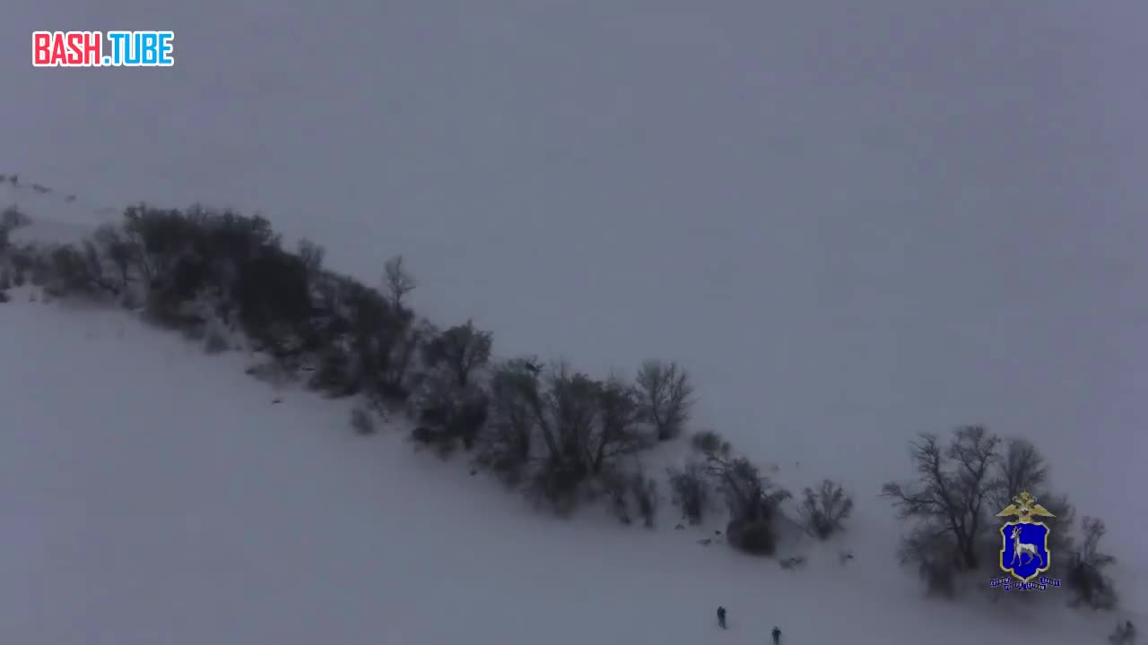 В Самаре мигрант ползал по кустам, чтобы спрятаться от силовиков во время рейда