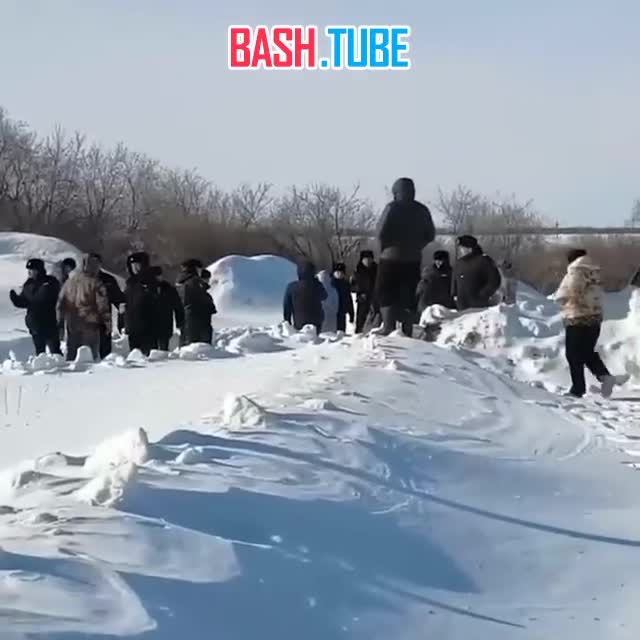  В Сибири и Поволжье массово убивают скот под предлогом бешенства и пастереллёза