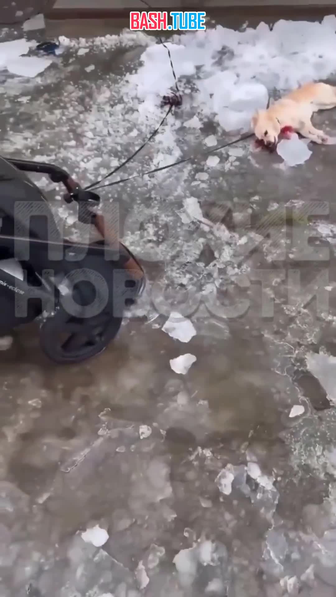  В Свердловской области ледяная глыба упала на пенсионерку, девушку с коляской и собаку