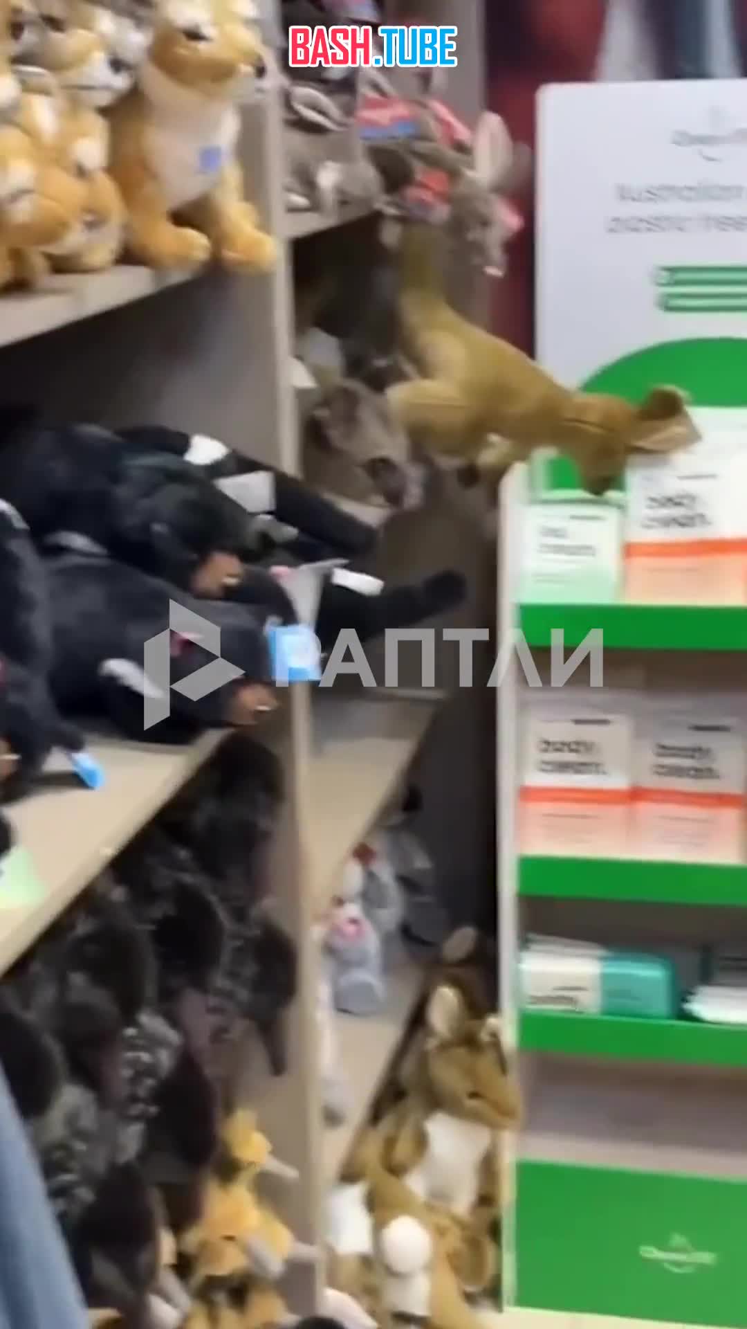  В Австралии своя атмосфера... и свои игрушки