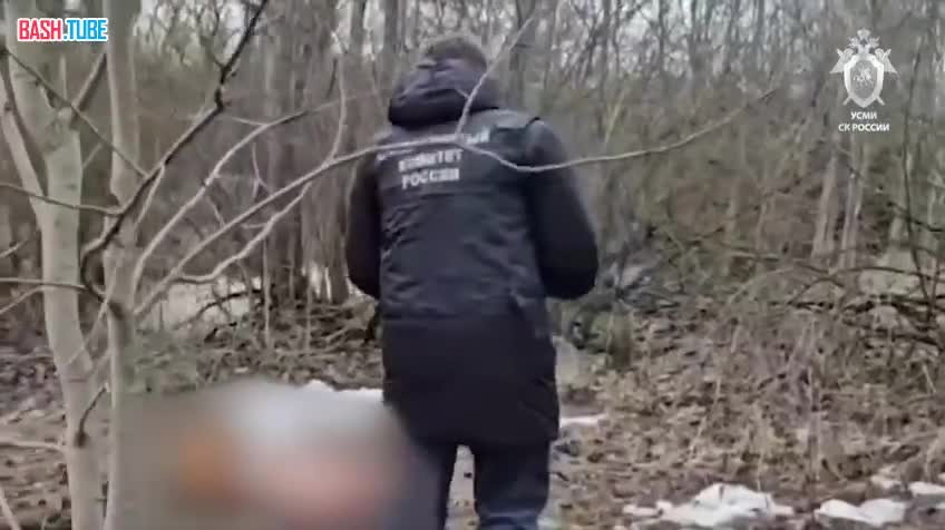  Расчлененное тело 17-летнего подростка нашли в Пушкинском районе Петербурга