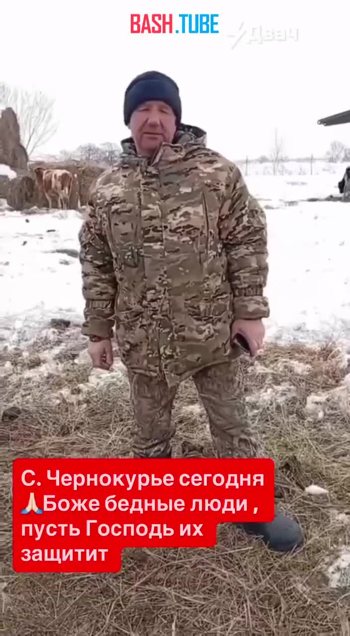  Фермер облился бензином и пригрозил поджечь себя, если его скот попробуют усыпить в Новосибирской области