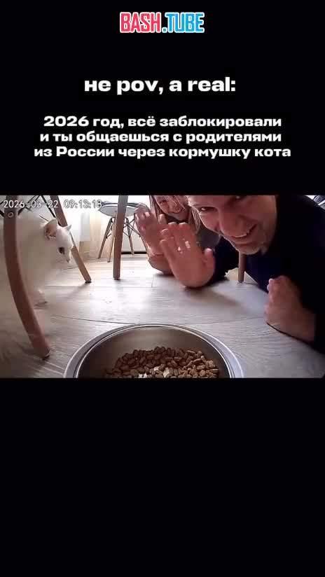  Переехавшие на Бали показали рабочий способ оставаться на связи с близкими