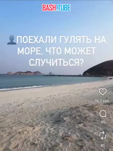  В Приморье семья из Врангеля спасла от гибели тюленя в бухте Триозерье