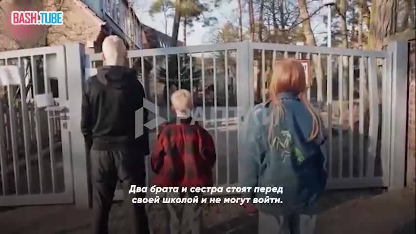  «Дети могут идентифицировать себя щенками»