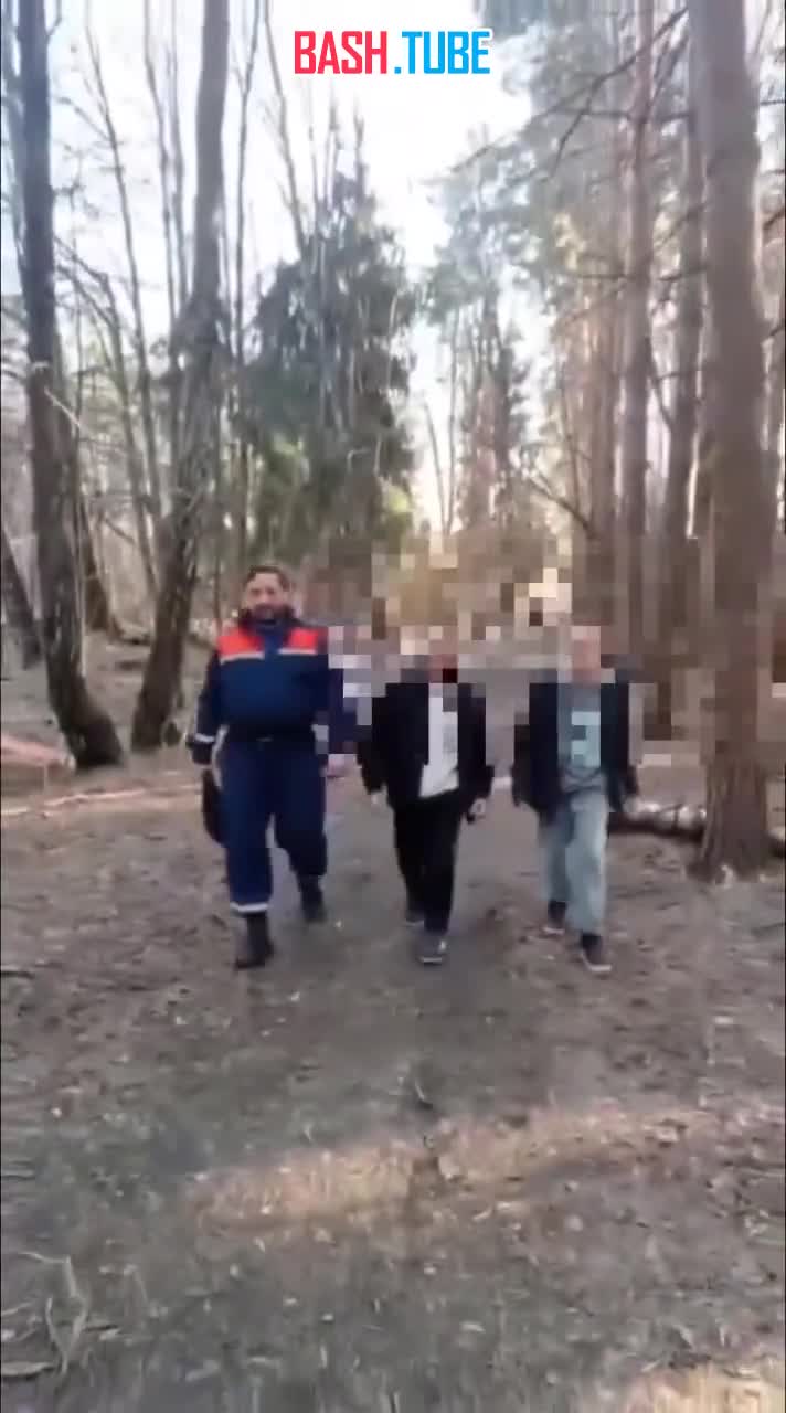  Заблудившихся детей вывели из подмосковного леса спасатели