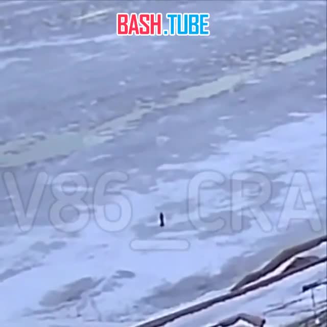  На видео запечатлено, как рыбак из Нижневартовска переходил Обь в стороне от тропы и провалился под лед