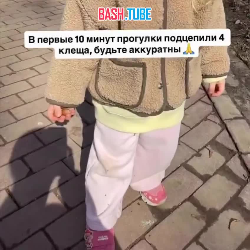  Девушка из Москвы показала, как ребёнок за первые 10 минут прогулки подцепил сразу 4 клеща в парке Царицыно