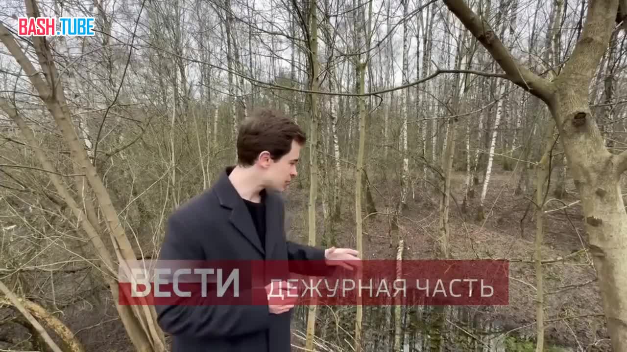  Столичные следователи разыскивают убийцу мужчины, тело которого обнаружили в чемодане на северо-востоке Москвы